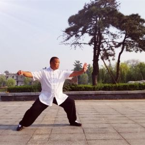 ʮ̫ȭ֮ԡ2020̫ʢȱ