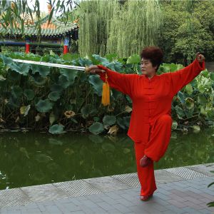 ʮ󡰽֮ܳ׻ϼ2020̫ʢȱ