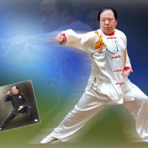 ʮ̫ȭ֮ĳɡ2020̫ʢȱ