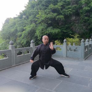 ʮ̫ȭ֮2020̫ʢȱ