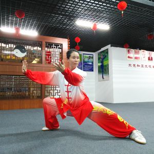 ʮУ֮Ԭѩ÷2020̫ʢȱ