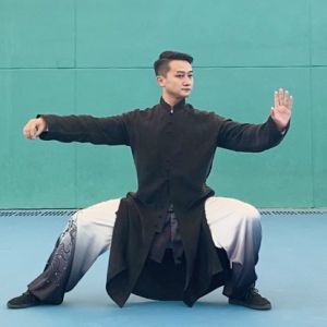 ʮ̫ܳꡱ֮ų2020̫ʢȱ