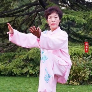 ʮ󡰽֮ܳƽ2020̫ʢȱ