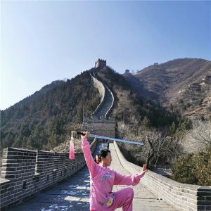 ʮ󡰽֮ܳ2020̫ʢȱ