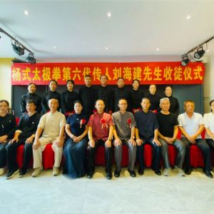 ��֦ɢҶ����ͽ������̫��������������ʽ̫��ȭ������������ɽ����Ȫ��ɽ��ͽ