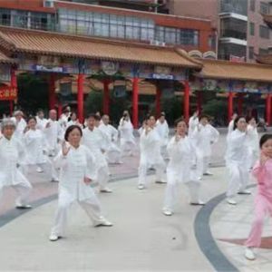 ұ̫ȭЭ2021߽̫ȭƵնѼ