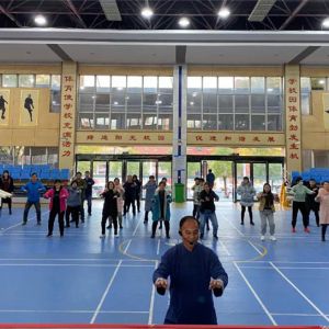 ӵ ҸУ԰еڶʵѧ̫֯ȭУ԰