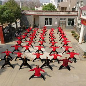 ֪ͨ¼ҹ̫ȭѧУɭ̫ȭо2022̫ѵƻ