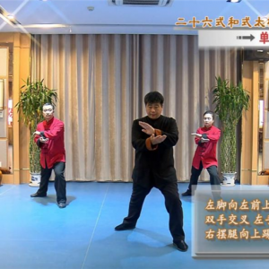 ʽ̡̫2021ʽ̫ȭзչС