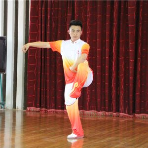 ʮ̫ܳꡱ֮ë춫2021̫ʢȱ