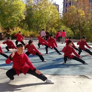 ڡС̫ȭҪʮʽѵࡿʼ