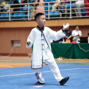 ӡ̫صڶڳ¼ҹ¡ؿĻ