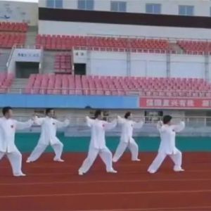 ̫ȭЭμ2022Ľʡ̫ȭƵѼ