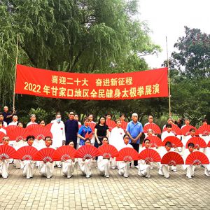 ϲӭʮ ܽ кʼҿڵȫ̫ȭչ