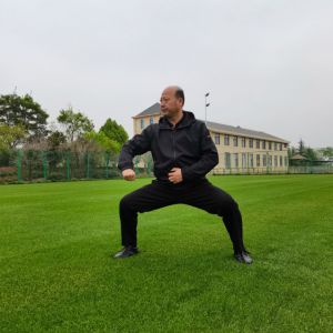 緢̫ȭоԺȫʮڴͳ̫ȭ߰ཫ2ٰ