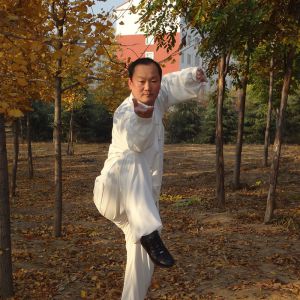 ʮ̫ȭ֮ѫ2023̫ʢȱ