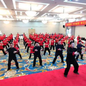 ̫Ժڶʮһʽ̫ȭ߼ѵࡰһ