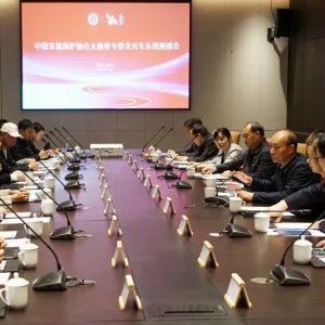 йűЭ̫ȭרίٿͷ鹤