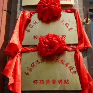 ׼ѡͳ¼ҹ̫ȭѧУǩԼ̫Ļ뻳ҩҵչ