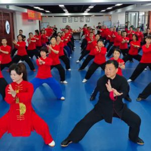 ̫Ժڶʮһʽ̫ȭ߼ѵɹٰ