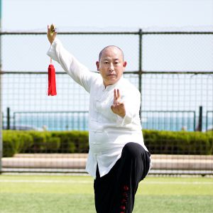 ʮȽ֮ܳԬ2024̫ʢȱ