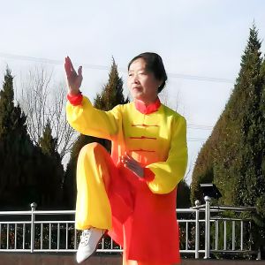 ʮȽ֮ܳӢ2024̫ʢȱ