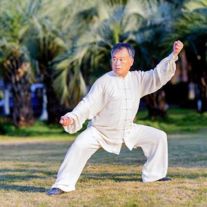 ʮ̫֮Ӣ2024̫ʢȱ