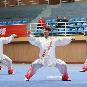 2025ϻȻ̫ȭ̫Ļҵó