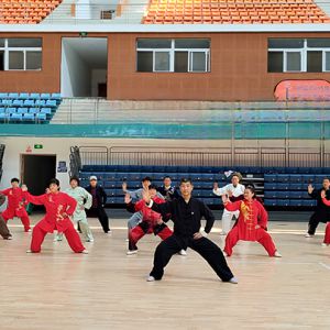 棡̫ȭЭᱸսʮһ̫ȭƵ