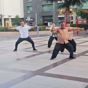 ֳ̫ʽ̫ȭоᱸս2025ʮһ̫ȭƵ