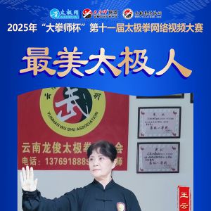 ��̫����ר�á�2025�������̫��������