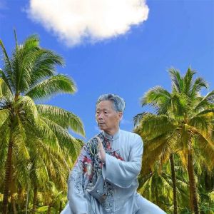 ȭ��ɽ�� ����Ž񡪡��Ƕ�ʦ��ˮ��������̫����������������