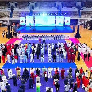 ��ʮ�����ʽ̫��ȭ������������2026��ٰ�