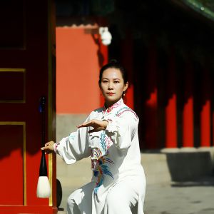 ʮ������̫��ȭ��У����֮���ҡ���2025̫��������ʢ����ȱ�������