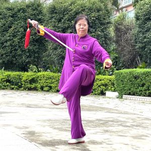 ʮ����Ƚܳ���������֮����������2025̫��������ʢ����ȱ�������