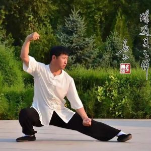 ʮ��̫��ȭ�������֮����������2025̫��������ʢ����ȱ�������