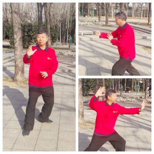 ʮ����Ƚܳ���������֮�ͺ������2025̫��������ʢ����ȱ�������