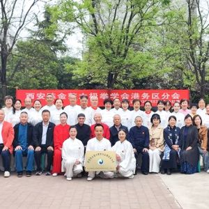 �����½���̫��ȭѧ��������ֻ����