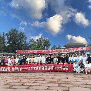 �����ںϣ���������ȥ���У�������й����е£�̫��ȭ�������ɹ��ٰ�