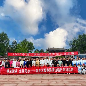 �����ںϣ���������ȥ���У�������й����е£�̫��ȭ�������ɹ��ٰ�
