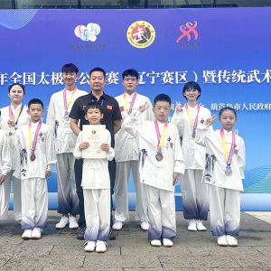 ն��7��8��9ͭ�������г�ʽ̫��ȭ�о��������ȫ��������������